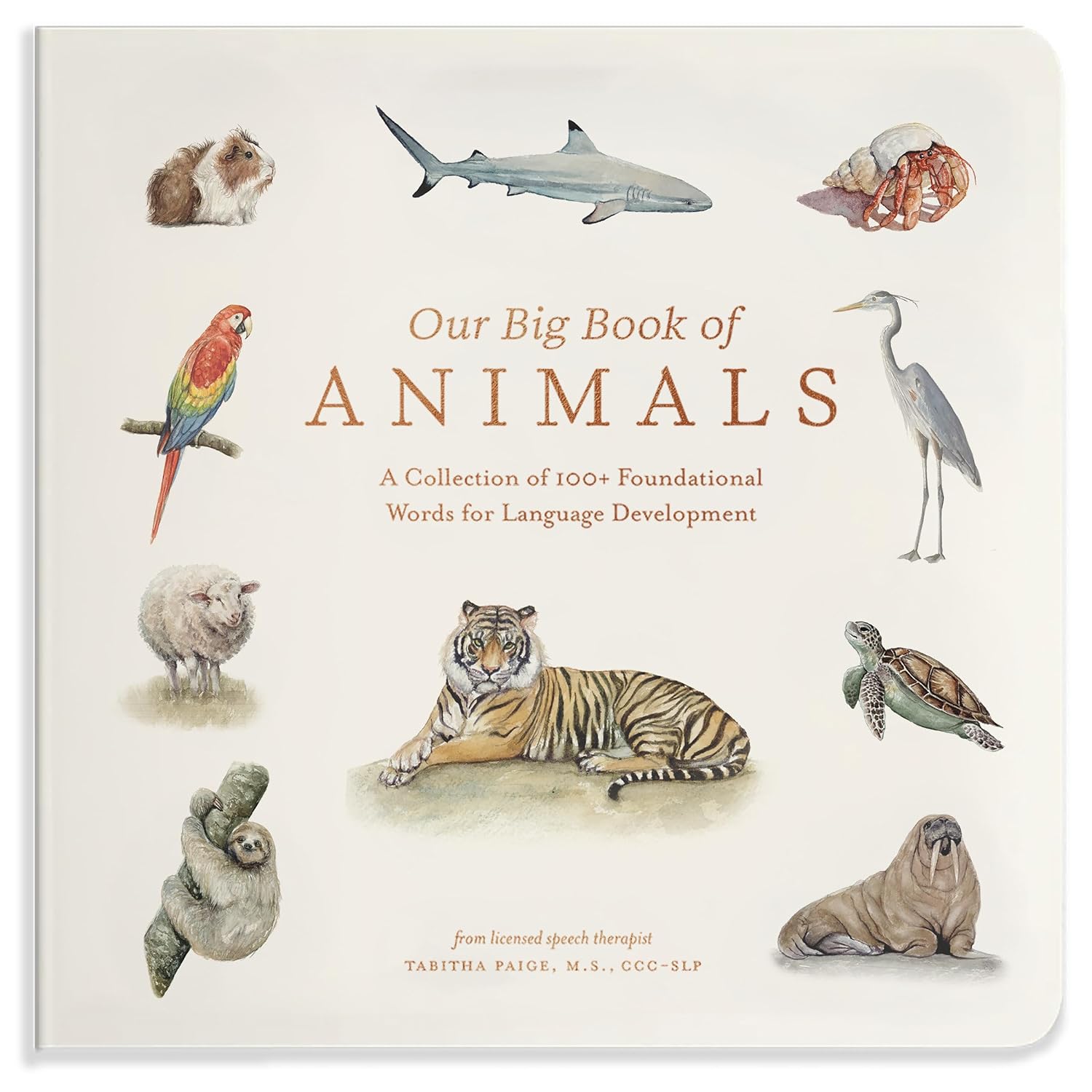 Our Big Book of Animals: First 100 Animal Words for Our Big Book of Animals: First 100 Animal Words for Language Development, including Farm, Jungle, Pets, Bugs, and More - Image 1